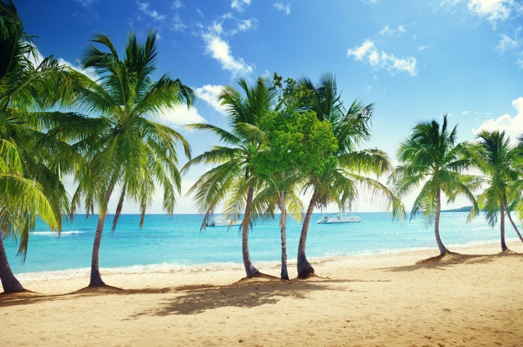 Plage de l'île de Catalina 